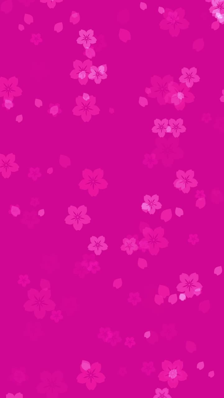 抽象樱花鲜艳的粉红色背景视频下载