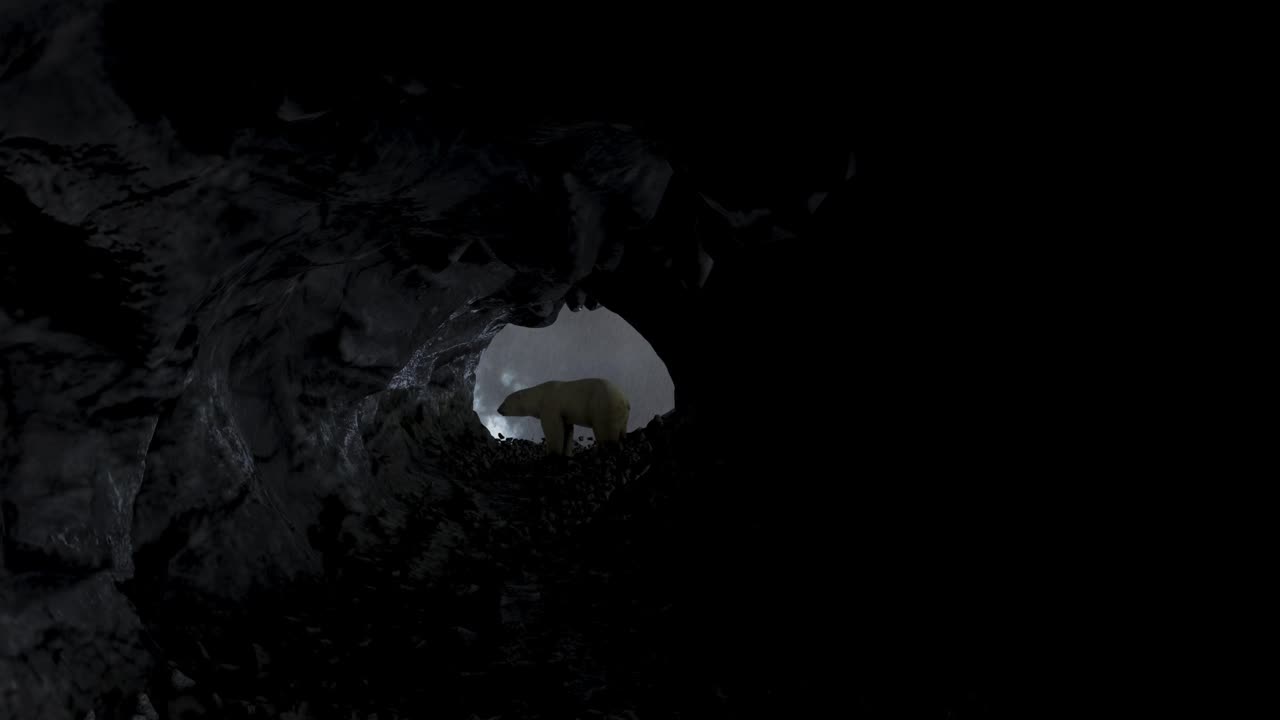 北极熊站在黑暗的洞穴里，暴风雨的天气视频下载