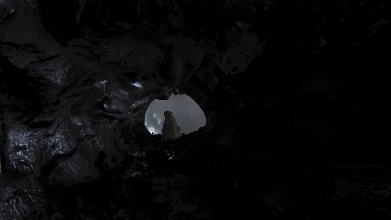 北极熊站在黑暗的洞穴里，外面是暴风雨视频下载