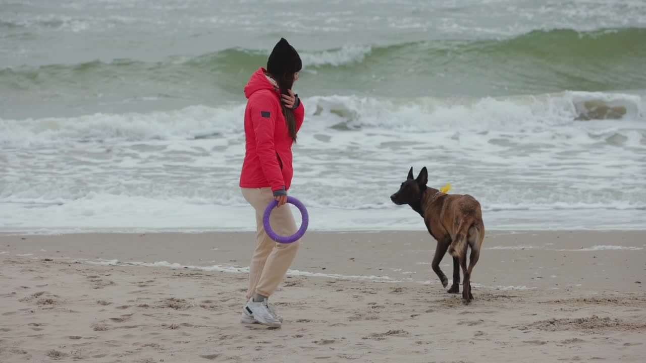 一个女人带着她的狗在海边和拉着她的人玩视频下载