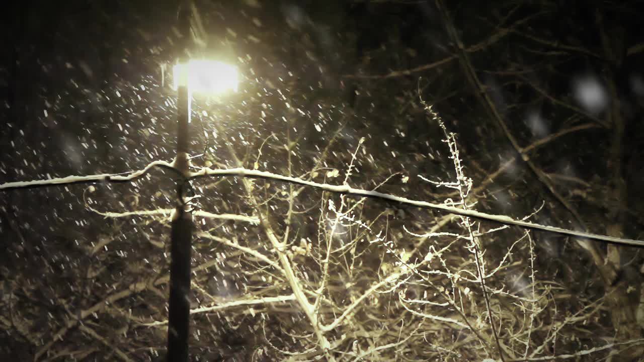 晚上降雪视频下载