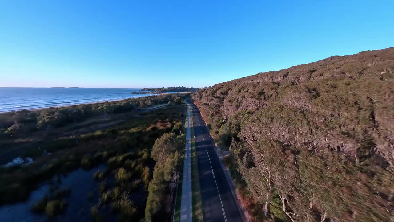 日出时沿着一条绿树成荫的乡村公路低空飞行的鸟瞰图。视频下载