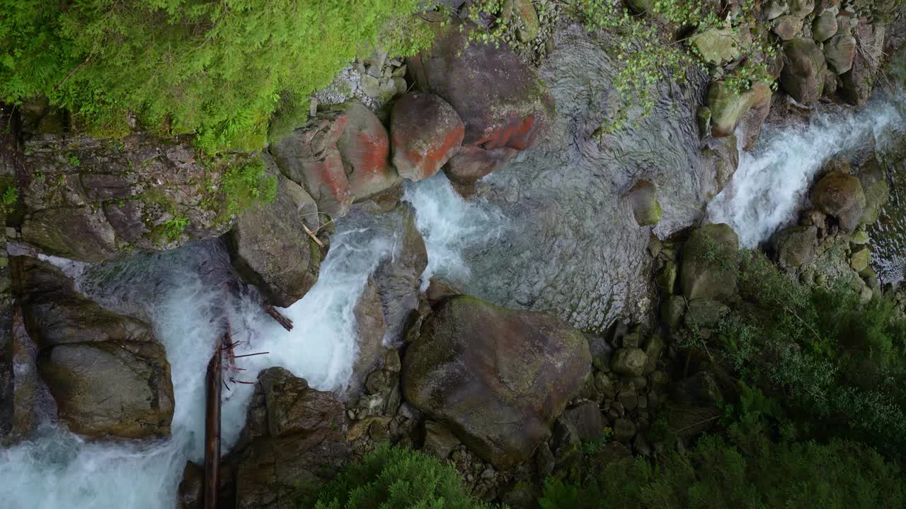 山间河流，在绿树丛中岩石间激流视频下载