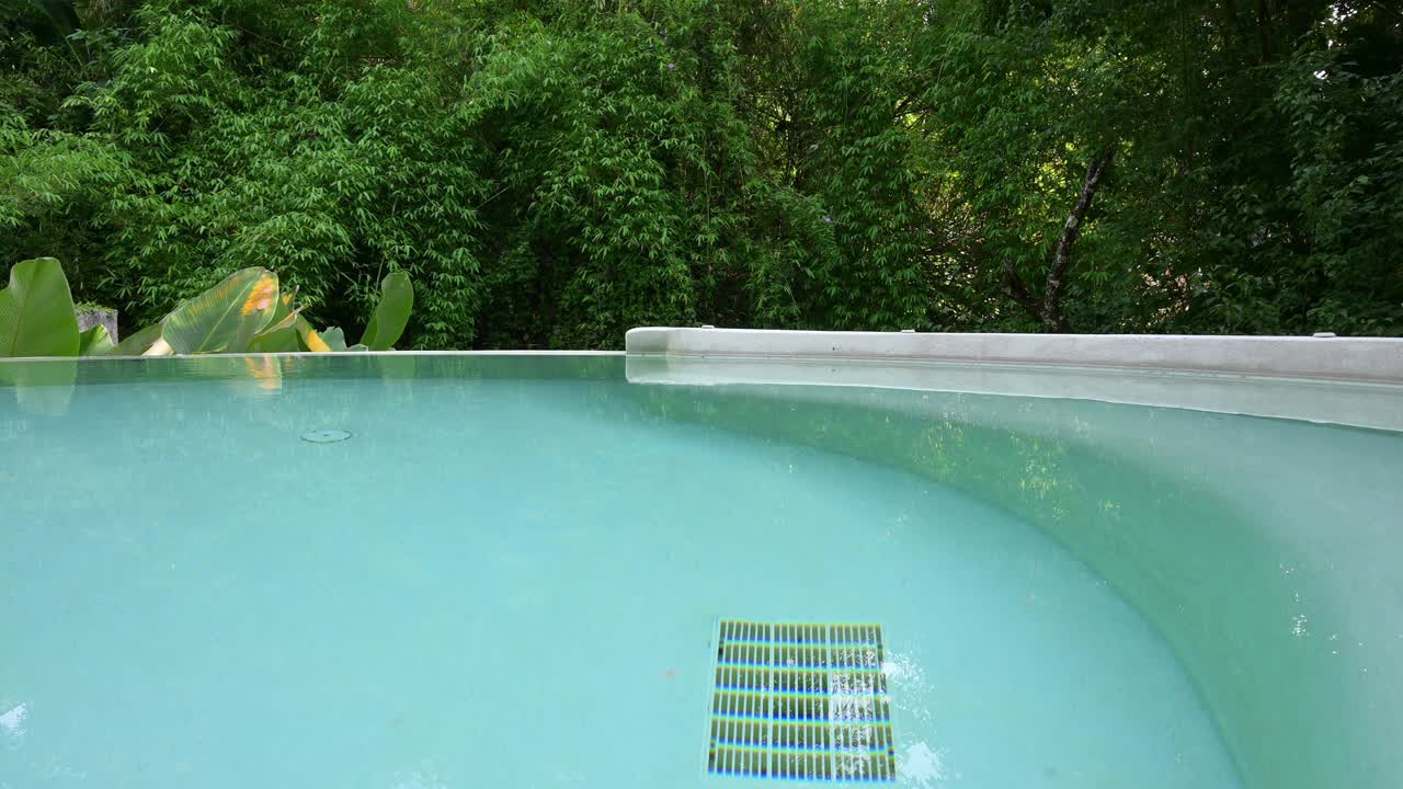 美丽的游泳池在花园里与绿色的树视频下载