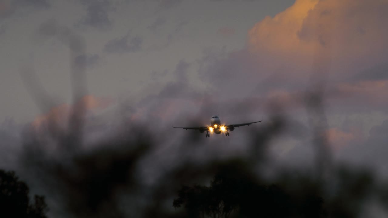 日落降落，飞机穿过树影视频下载