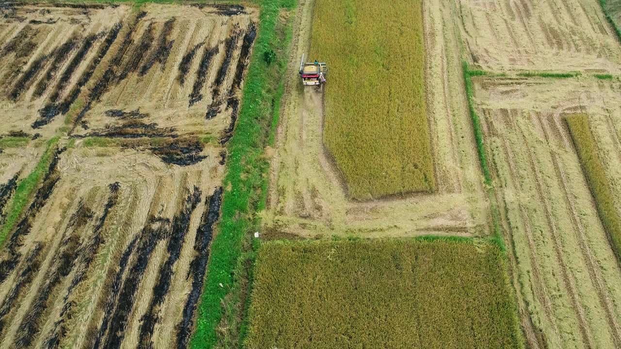 鸟瞰图在农村稻田里的机器联合收割机视频下载