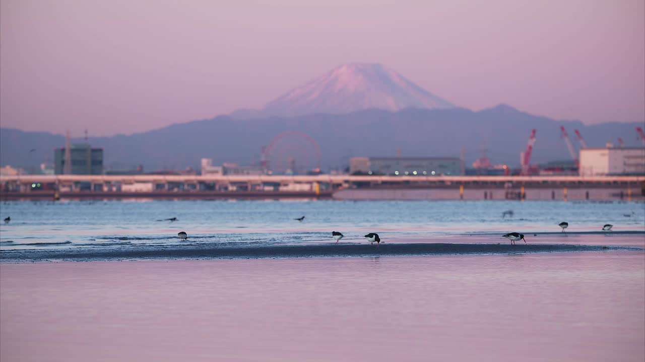 捕牡蛎者和富士山的冬天(播放)视频下载