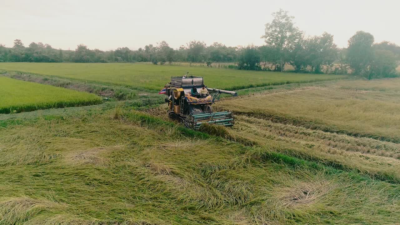 鸟瞰图在农村稻田里的机器联合收割机视频下载