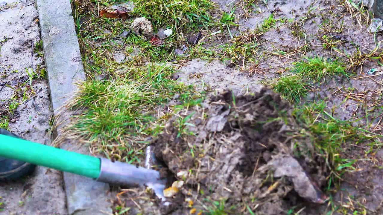 用铲子挖洞，以便在春天种植。花园和城市。视频下载