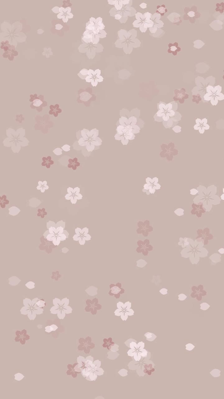 樱花花瓣落在米色的背景上视频素材