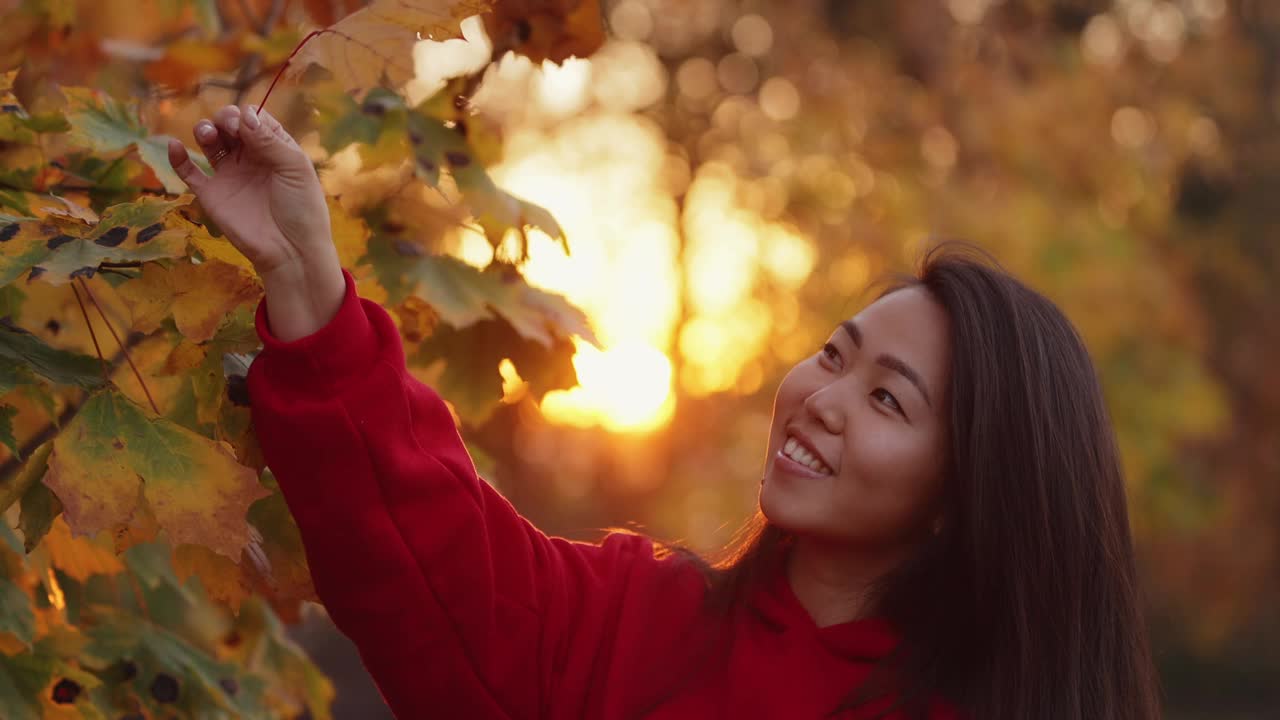在公园里抚摸秋叶的亚洲女子肖像视频下载