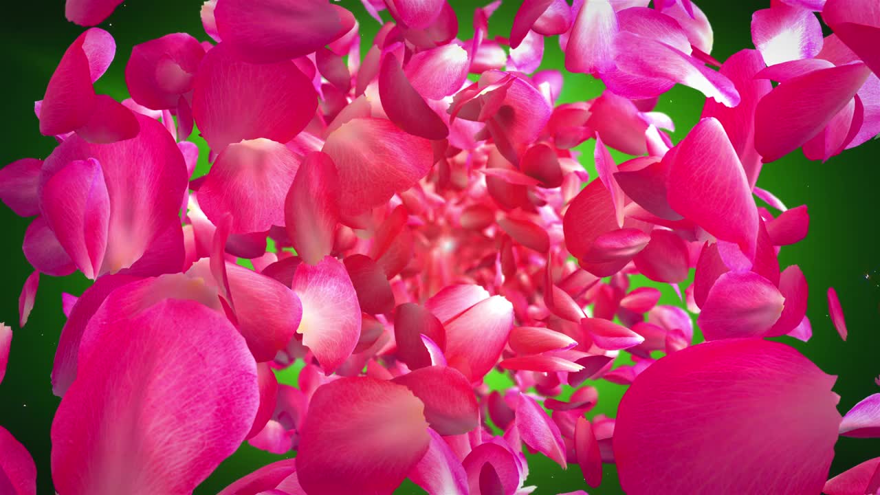 玫瑰花瓣的循环动画视频素材
