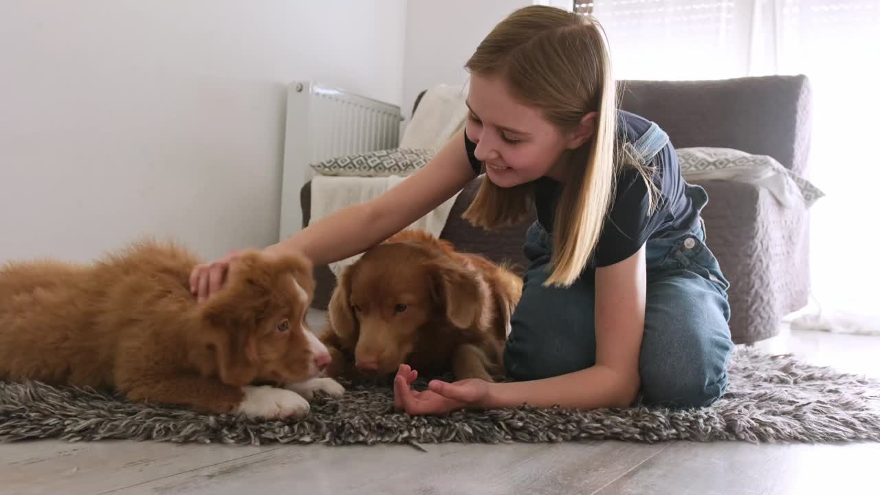 可爱的小女孩和可爱的托勒猎犬小狗玩耍视频下载