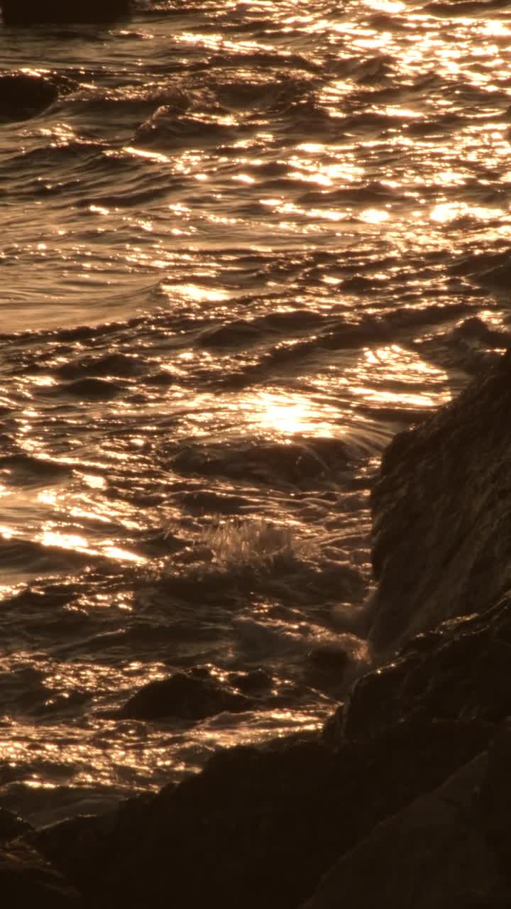 金色的波浪拍打着岩石海岸。4 k垂直视频下载