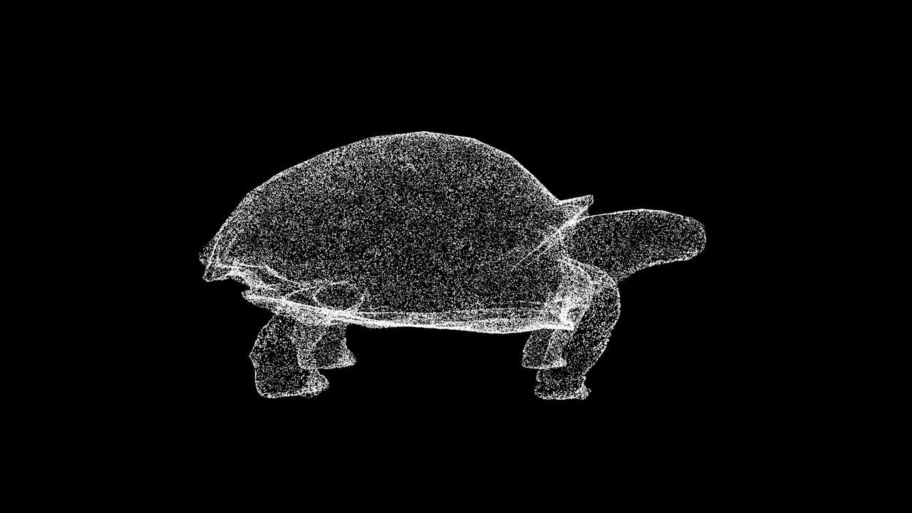 3D乌龟在黑色背景上旋转。水下海洋世界概念。海洋动物。商业广告背景。用于标题，文本，演示。3d动画60 FPS。视频下载