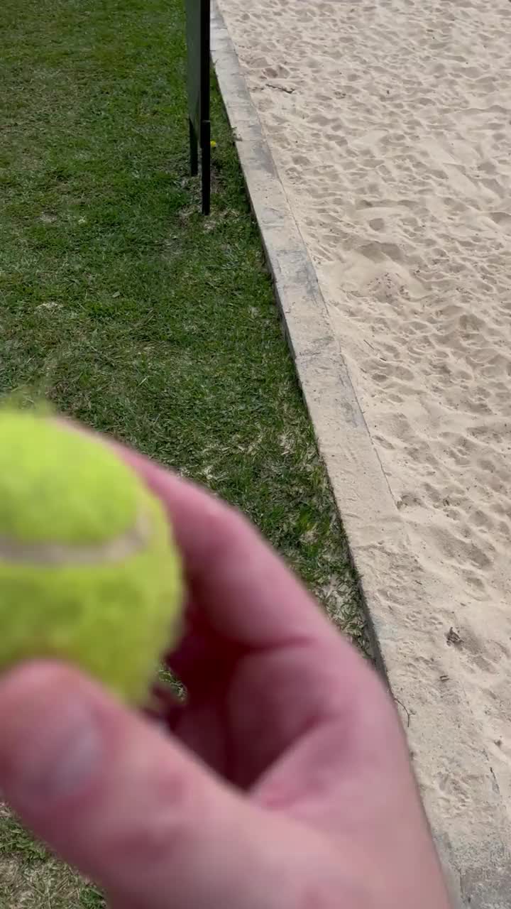 POV，和狗玩接球游戏视频下载