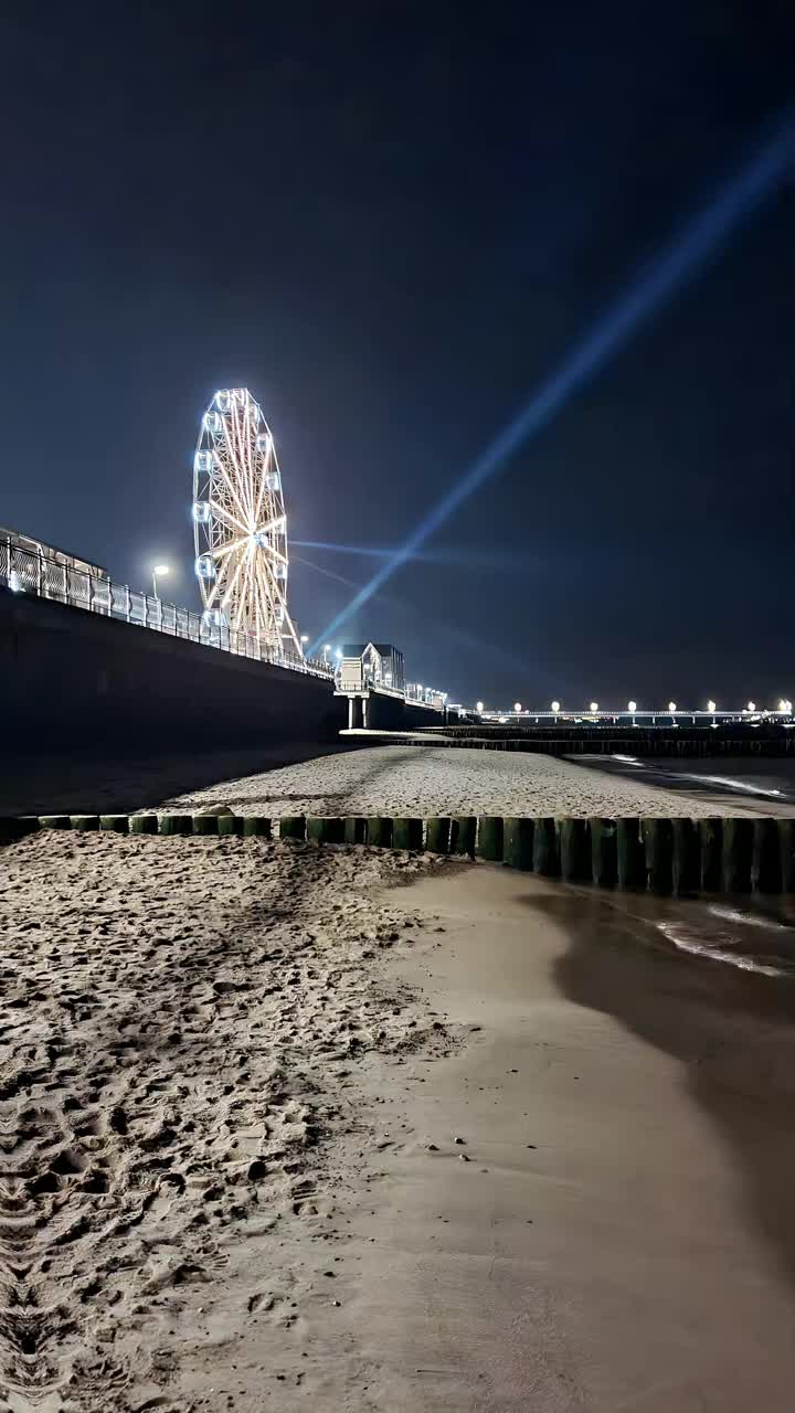 夜晚海滩海滨的灯光摩天轮视频下载