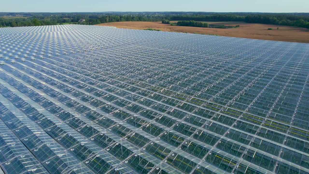 被田地包围的大型玻璃温室。现代温室鸟瞰图。种植业:蔬菜种植、农业、工业。技术温室与透明玻璃屋顶蔬菜。视频素材