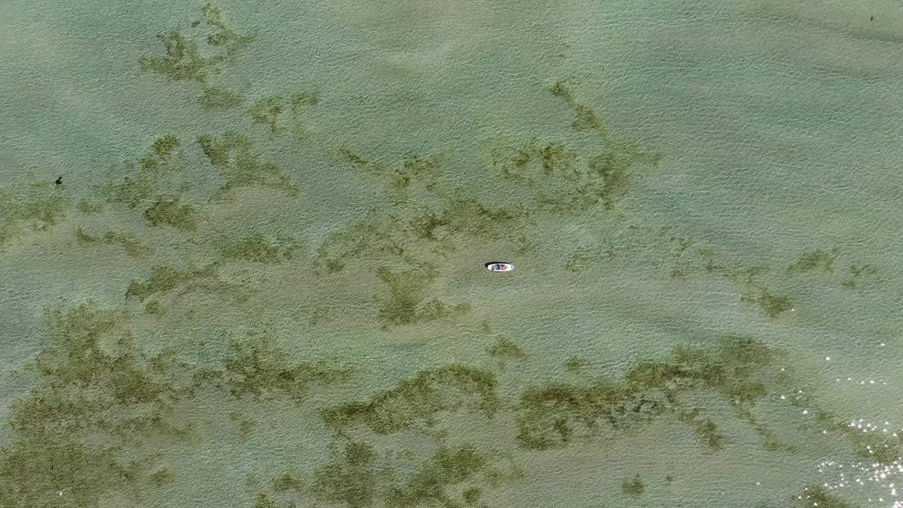 无人机鸟瞰图:年轻迷人的女人穿着比基尼和太阳镜漂浮在绿松石水的桨板上视频下载