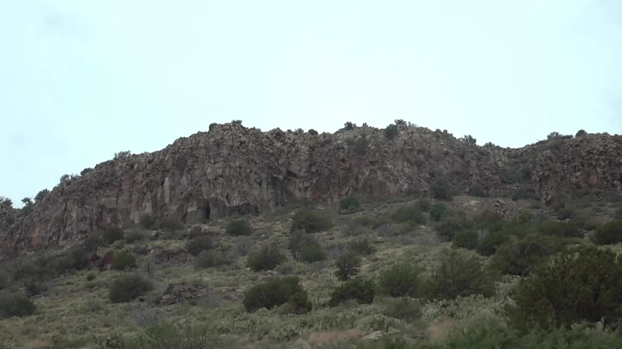 在亚利桑那州，茂密的沙漠树叶映衬着山脉的背景，慢动作120fps视频下载