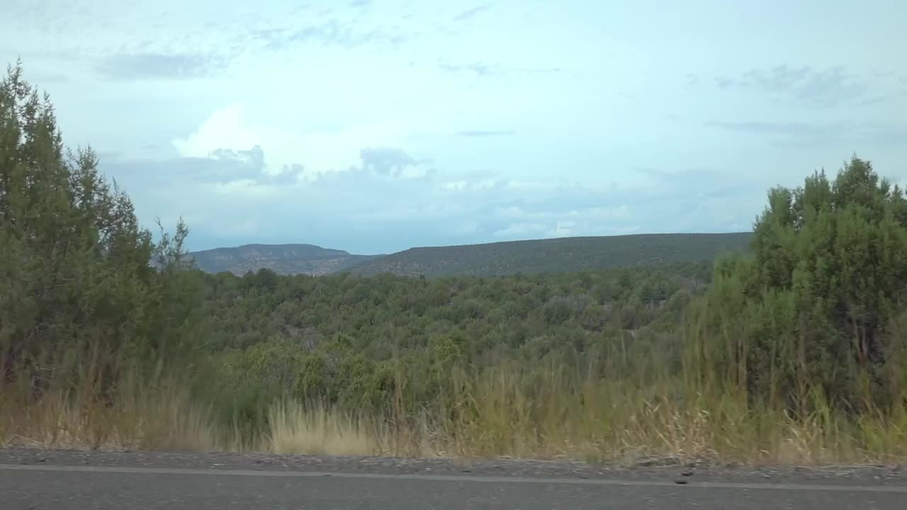 在亚利桑那州，茂密的沙漠树叶映衬着山脉的背景，慢动作120fps视频素材