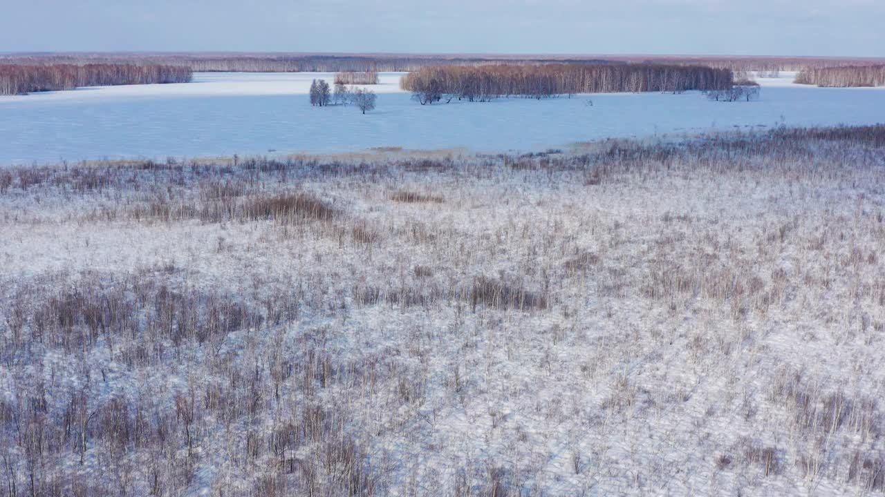 西西伯利亚，鄂木斯克地区。沼泽和冬季森林。鸟瞰图。视频下载