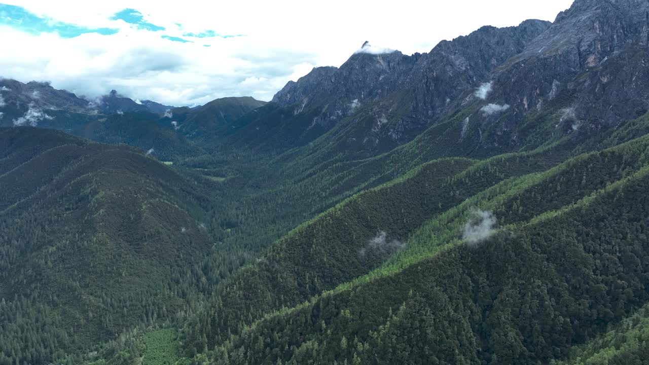 鸟瞰美丽的森林山景视频下载