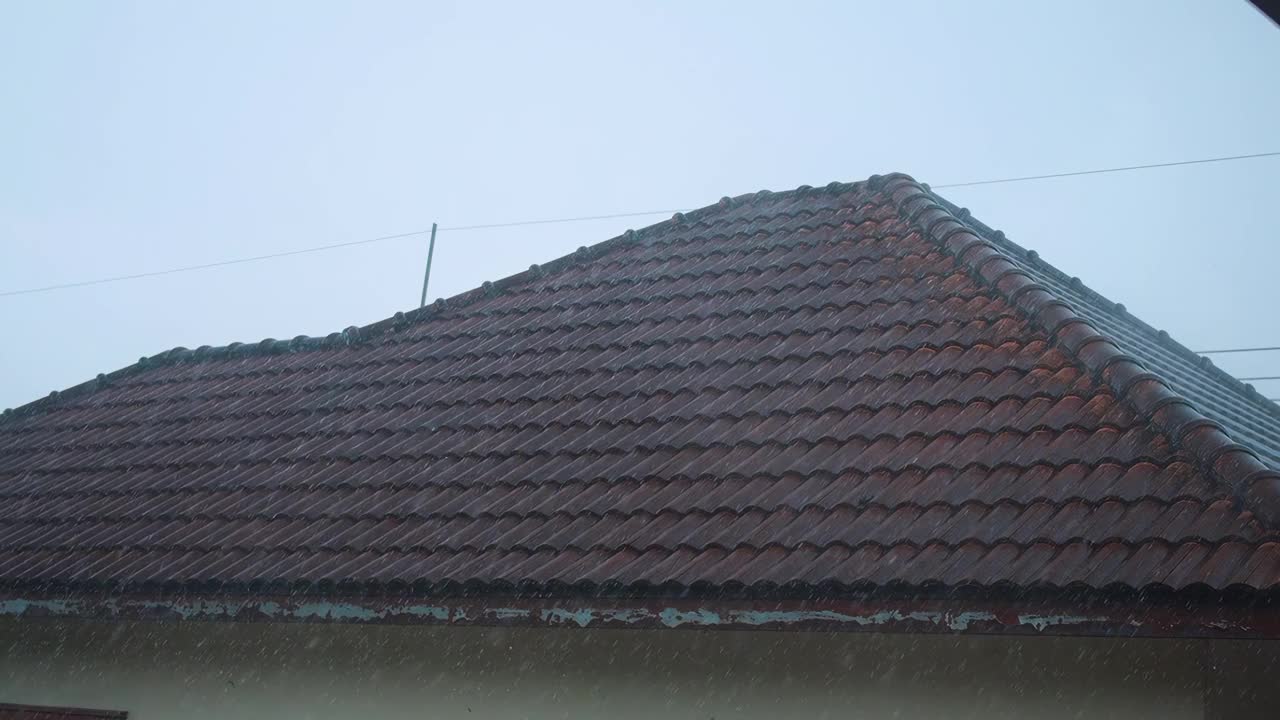 屋顶大雨视频下载