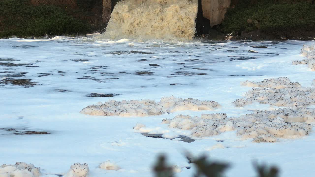 从水处理厂流出的污水视频下载