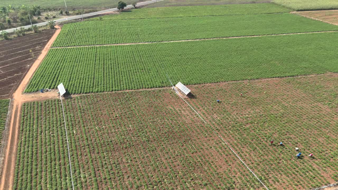 无人机拍摄的风景乡村农业鸟瞰图视频下载