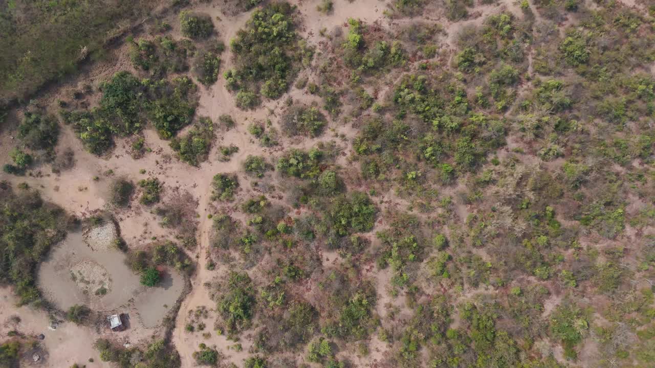 无人机拍摄的旱季鸟瞰图和肮脏的森林视频下载