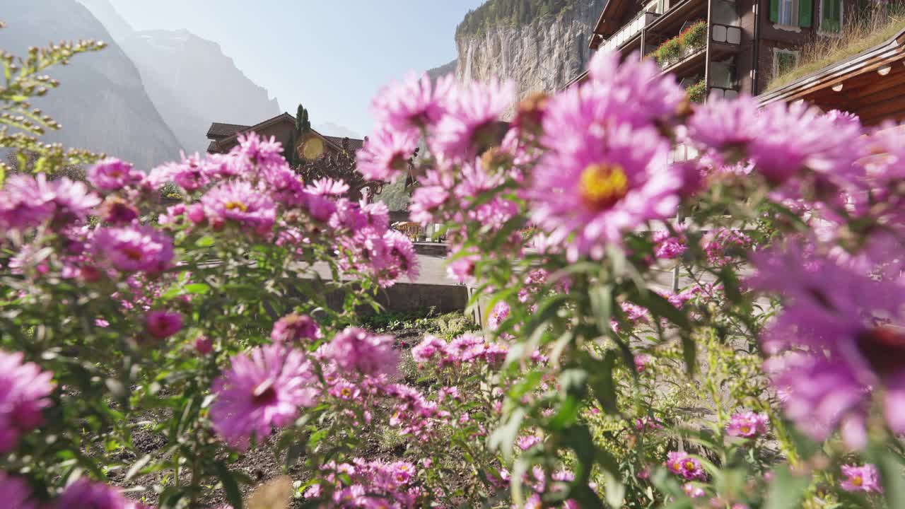 美丽的Lauterbrunnen山谷和staubbach落在瑞士阿尔卑斯山的乡村里视频下载