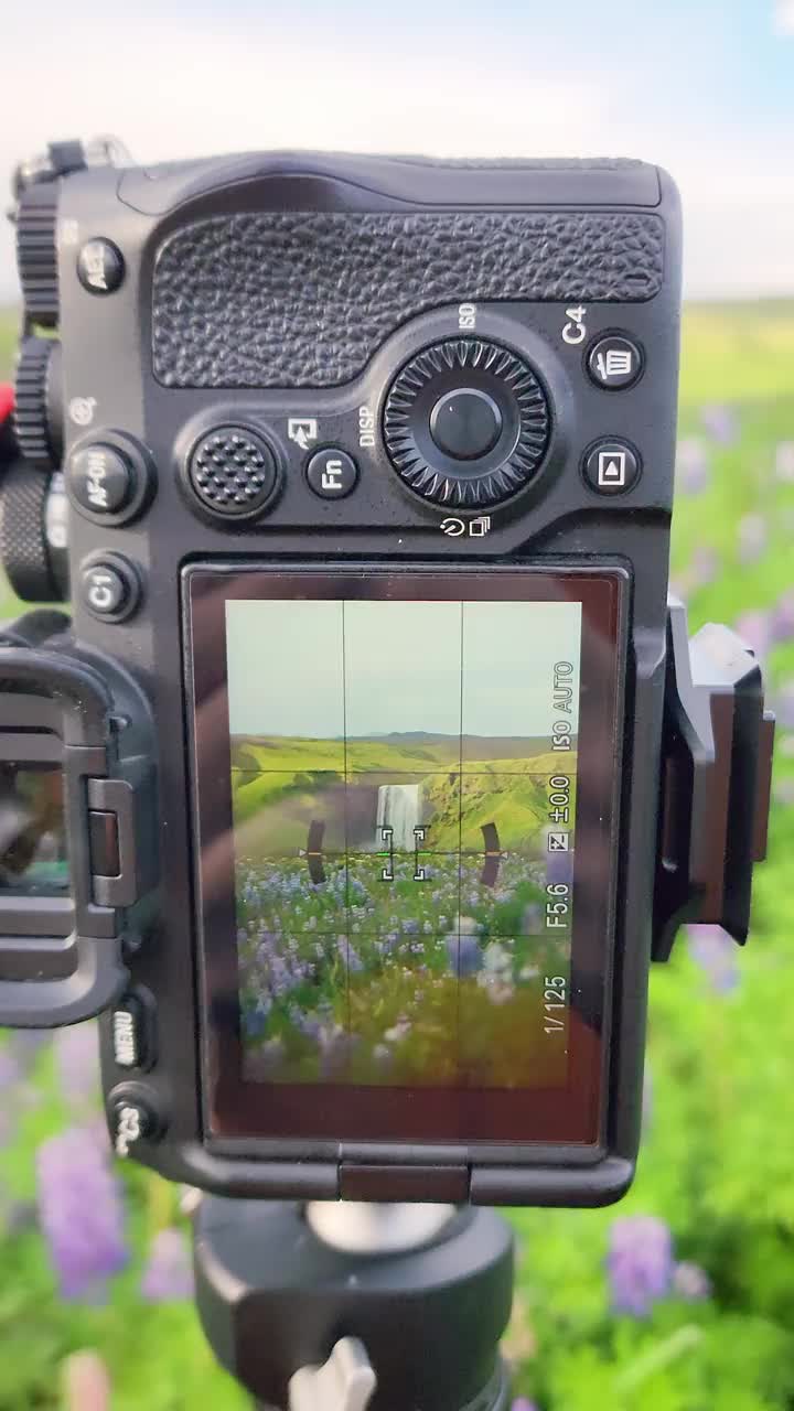 相机拍下了夏天羽扇豆花盛开的瀑布视频下载