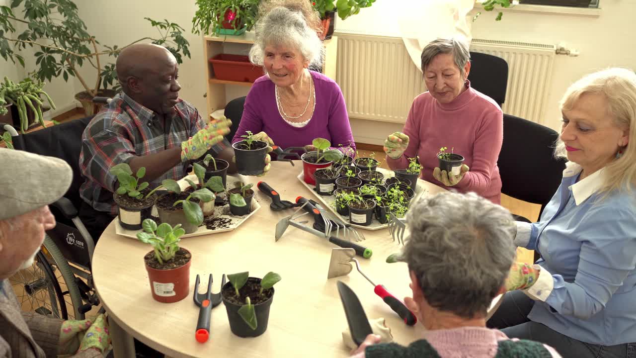 退休人员在明亮的房间里园艺视频下载