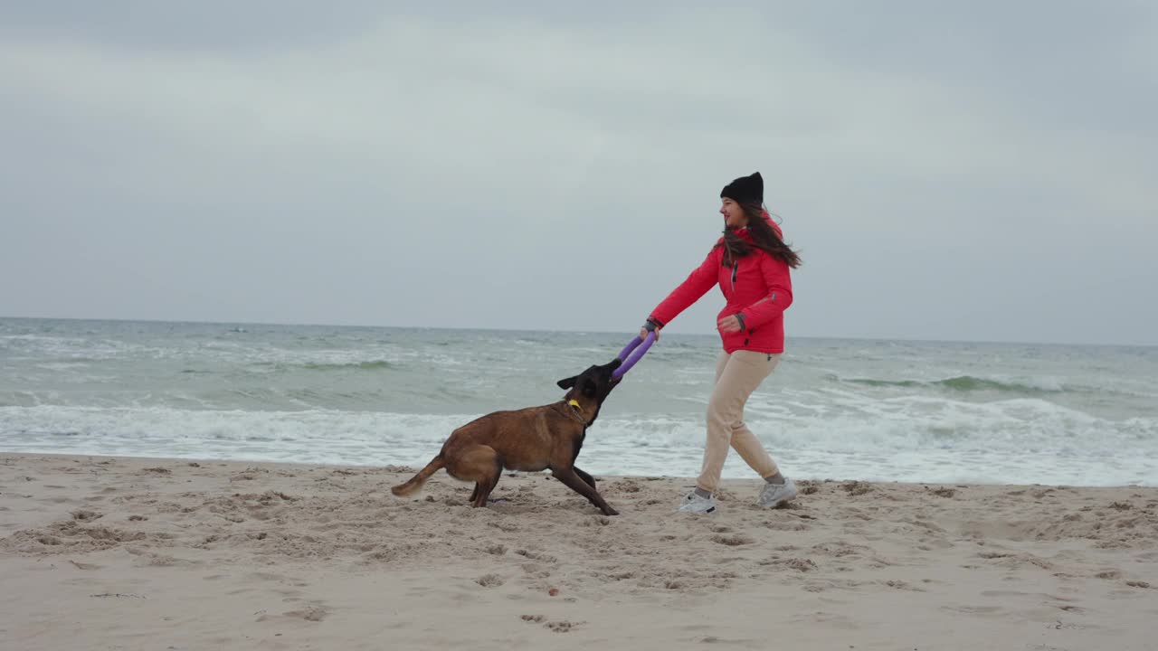 一个女人带着她的狗在海边和拉她的人玩，慢动作视频下载