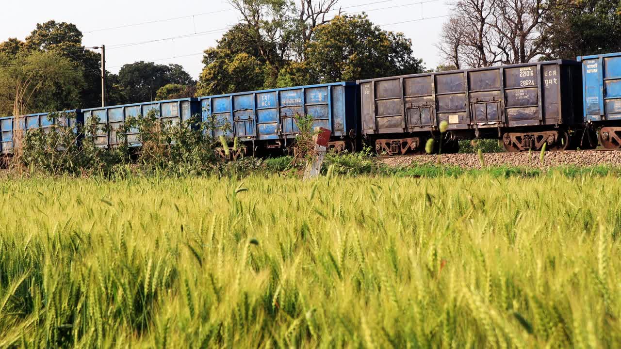 货运列车经过印度农村附近的绿色田野视频下载