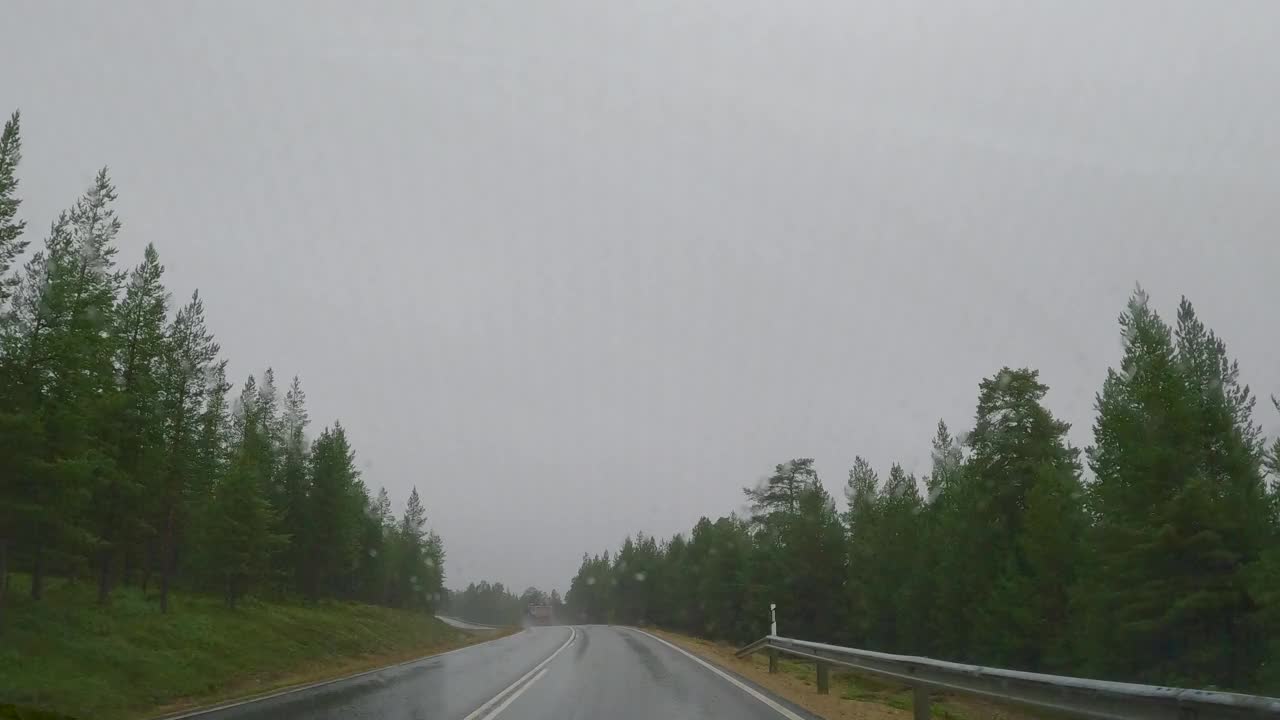 爱沙尼亚阴天里雾蒙蒙的森林道路视频下载