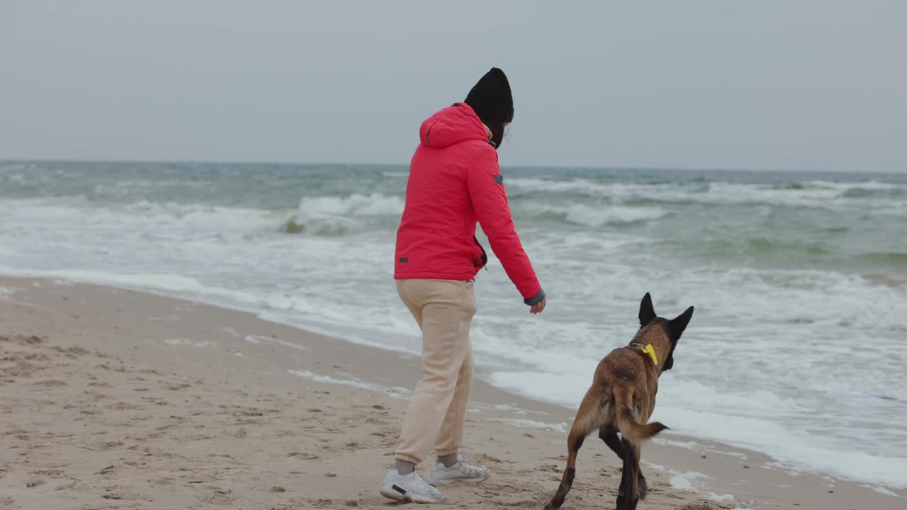 一个女人和她的狗在海边玩耍视频下载
