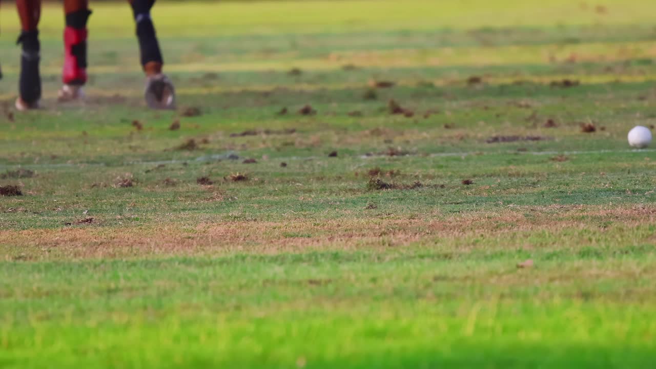 草地上的马球视频下载