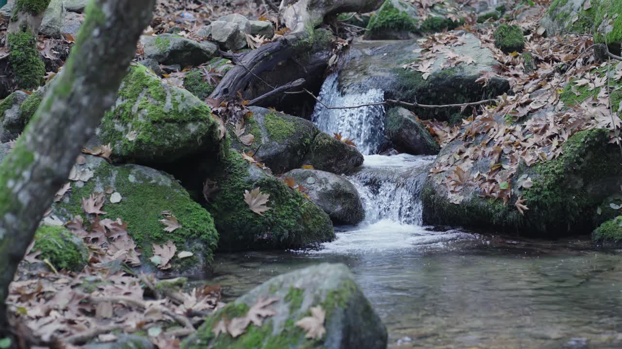 纯净的淡水在森林里吱吱作响，慢动作的电影场景视频下载