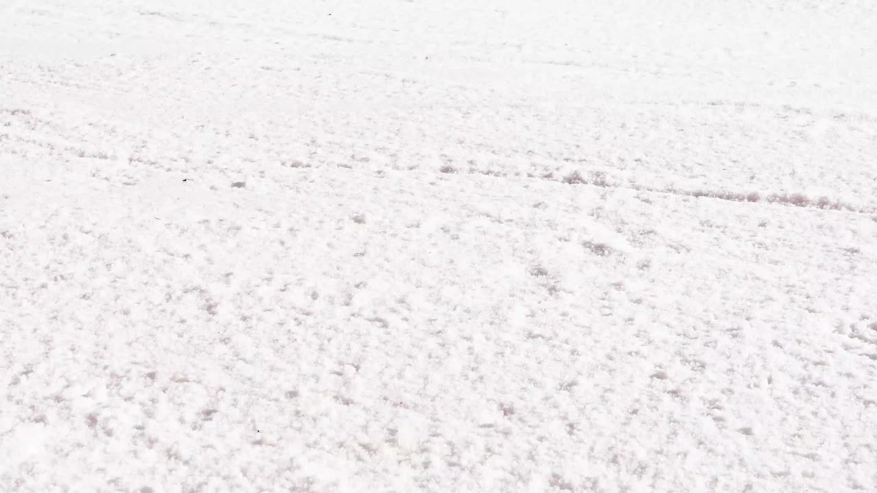 滑雪者一大早在雪场的隐蔽雪地上滑雪。家庭活动。视频下载