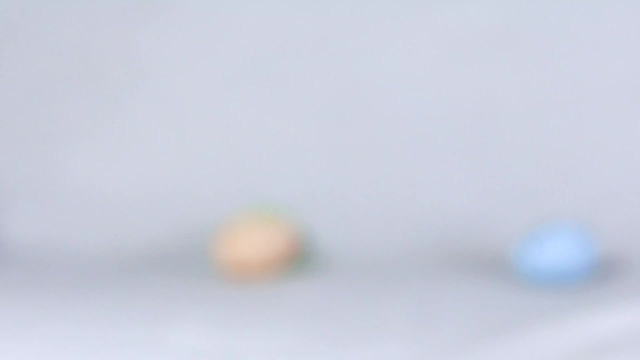 有趣的杰克罗素小狗玩复活节彩蛋。复活节。饲养和照顾幼犬视频下载