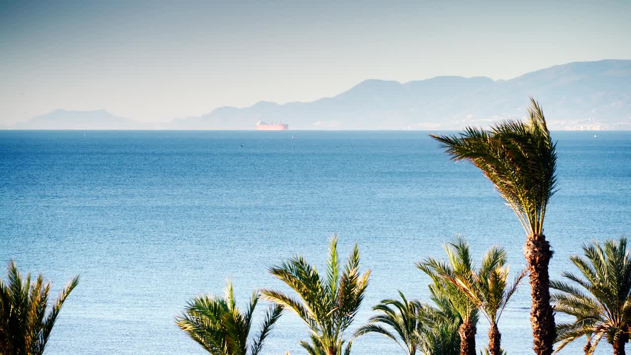 地中海沿岸的棕榈树视频下载