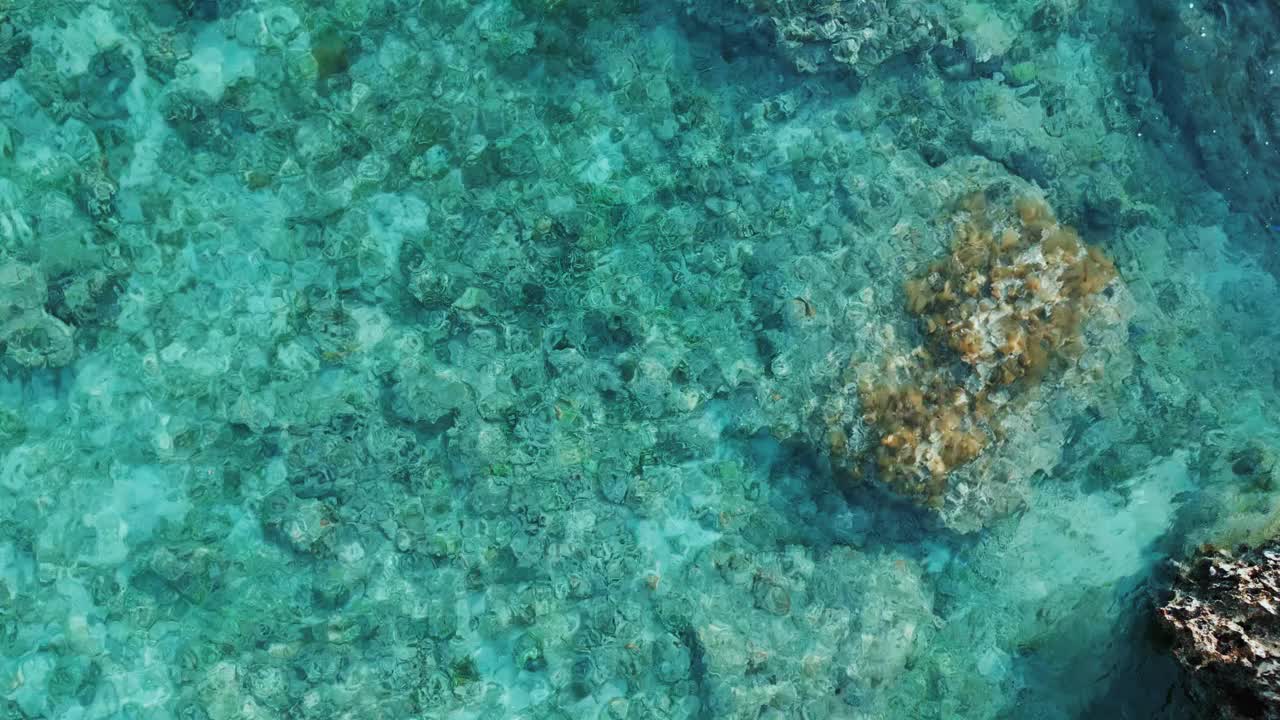 翠绿的海水表面视频下载
