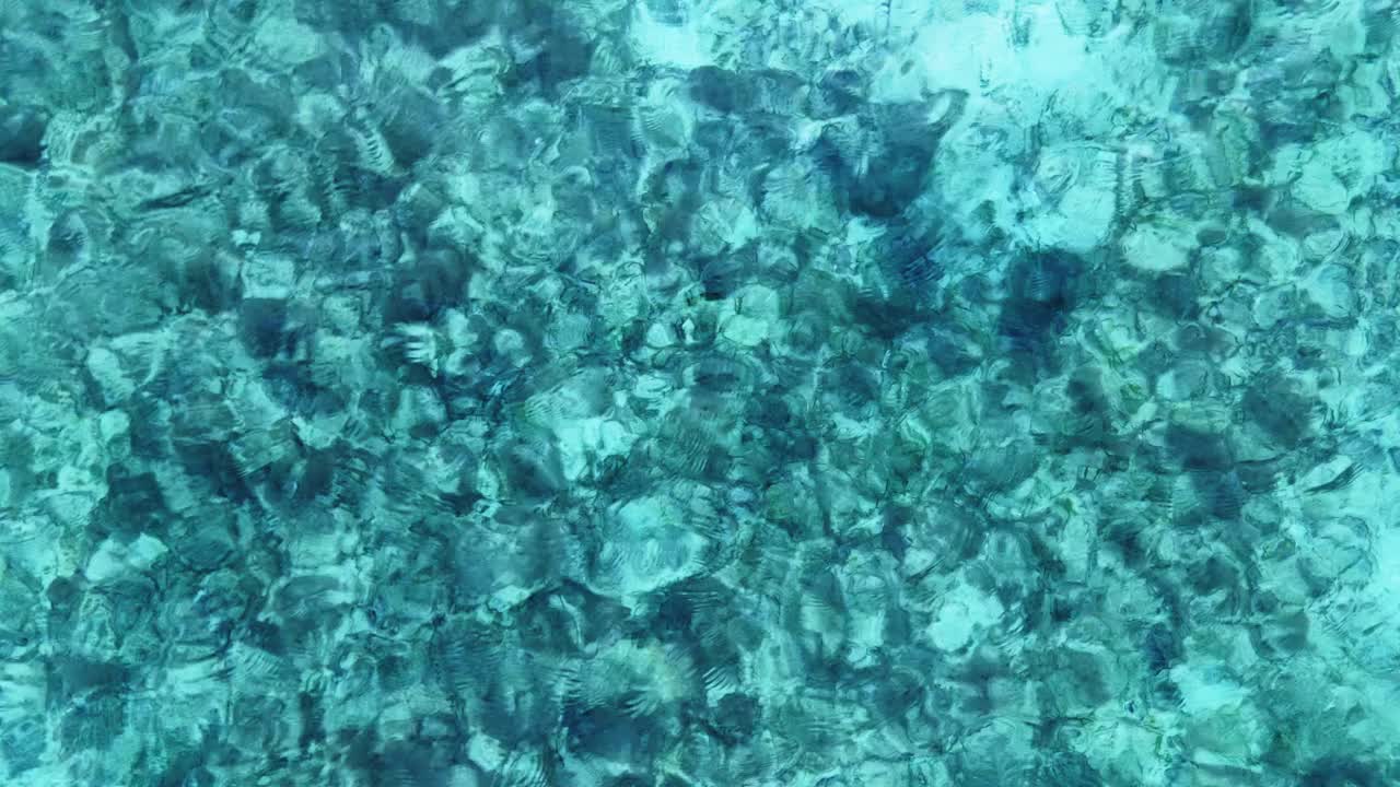 翠绿的海水表面视频下载