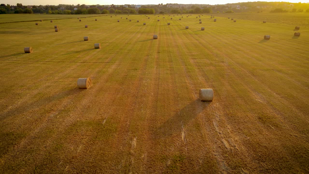 鸟瞰图夕阳下农村草地后面的农田里的捆包，农村里的种草，卷起准备运输和堆放的捆包视频下载