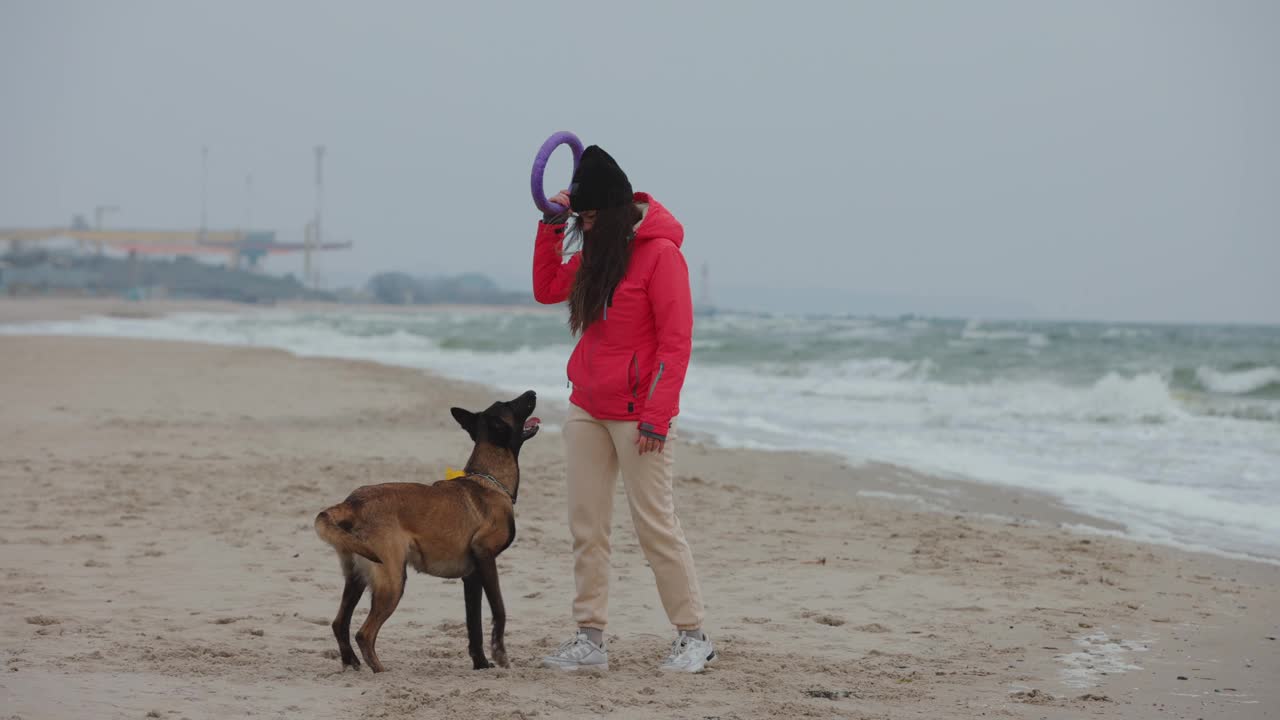 一个女人带着她的狗在海边和拉她的人玩，慢动作视频下载