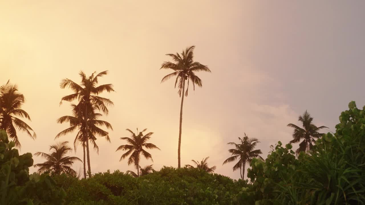 夕阳下，棕榈树的剪影在宁静的热带海滩上摇曳。柔和的橙色光芒沐浴着宁静的海岸景观。温暖的光线包围着宁静的度假胜地。放松的自然背景。Slowmo视频下载