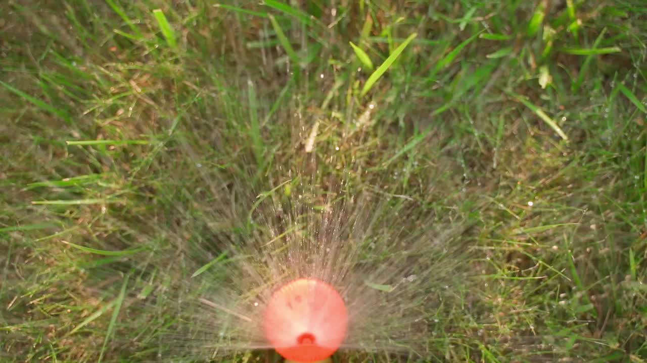 草坪喷雾器正在给草地浇水，俯视图视频下载