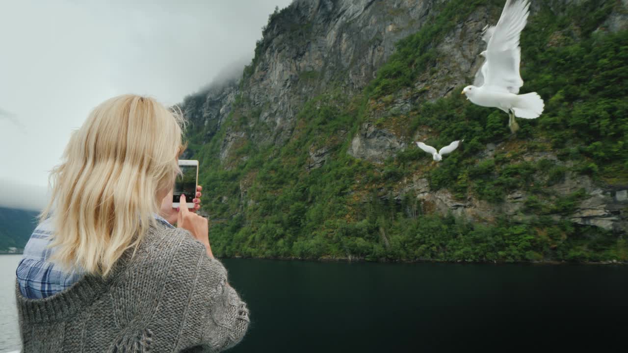 游客拍下了美丽的峡湾和附近飞翔的海鸥。在挪威峡湾巡游视频下载